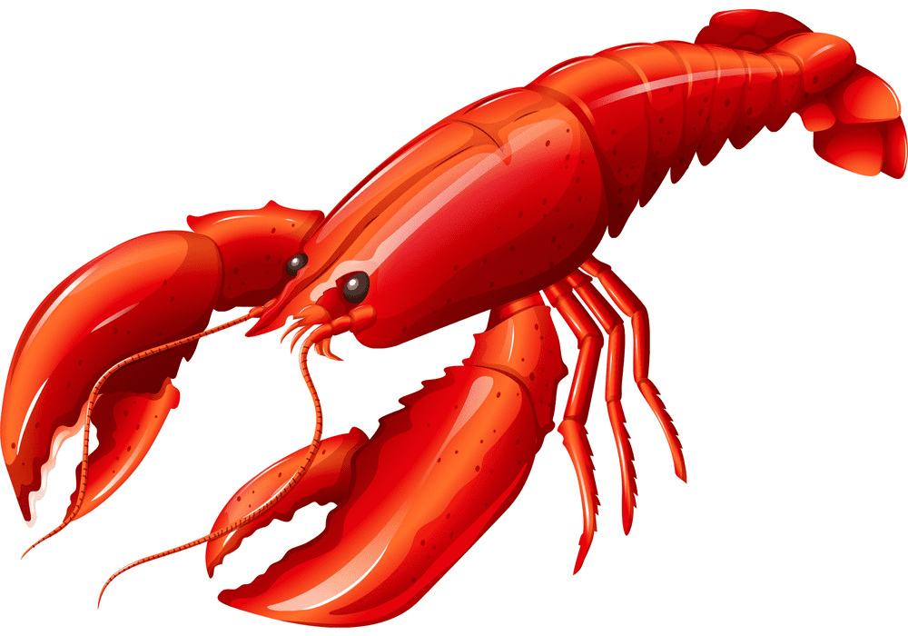Lobster clipart image
