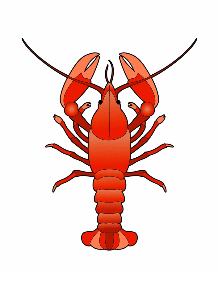 Lobster clipart png image
