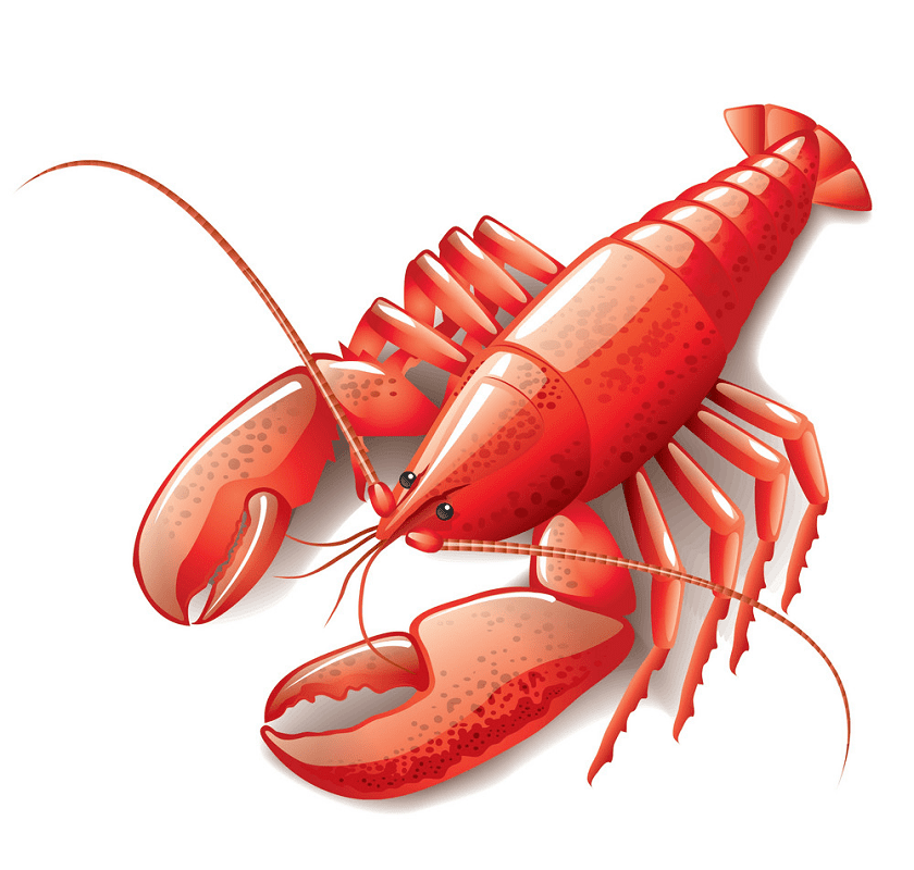Lobster clipart png