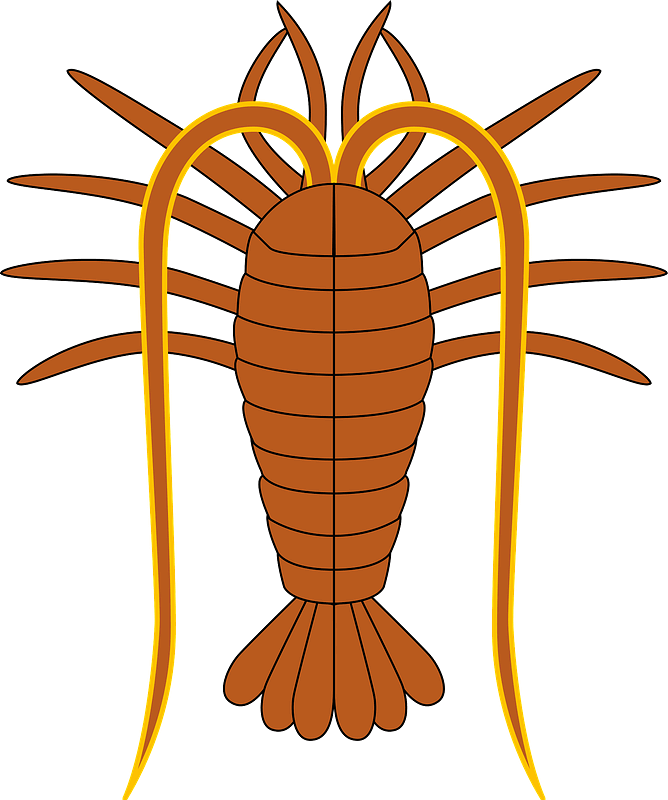 Lobster clipart transparent 4