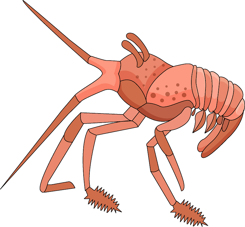 Lobster clipart transparent