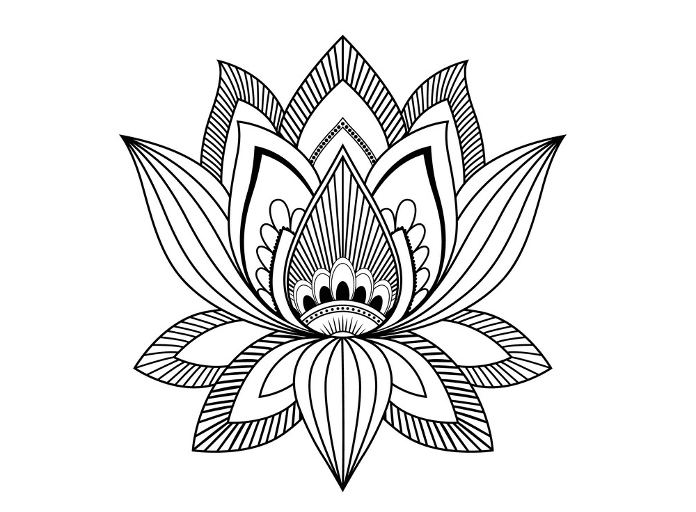 Lotus Clipart Black and White images