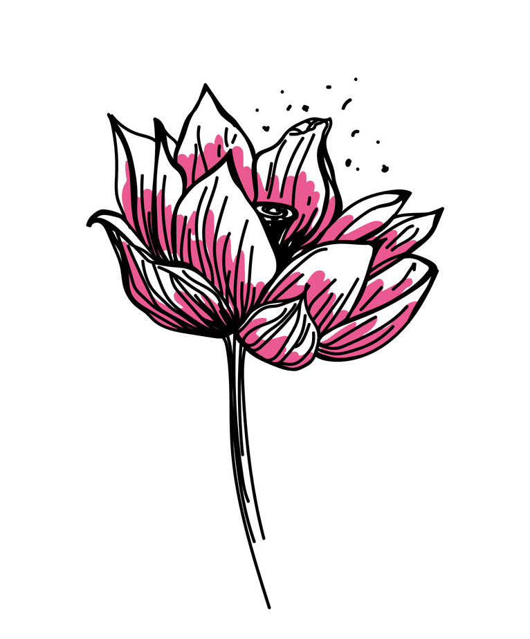 Lotus Flower clipart 1