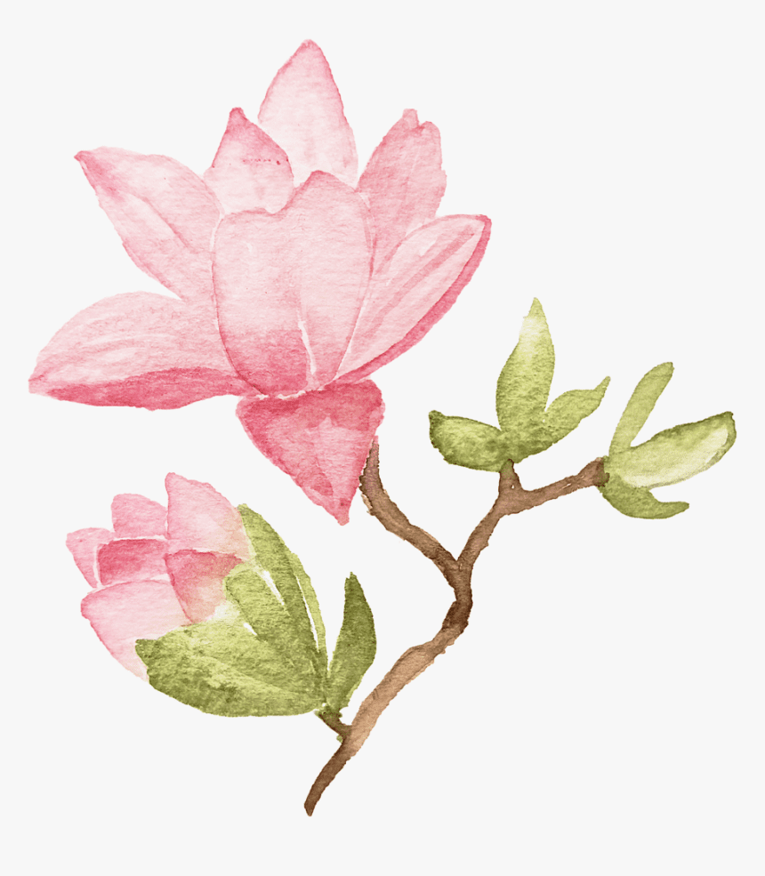 Lotus Flower clipart 10