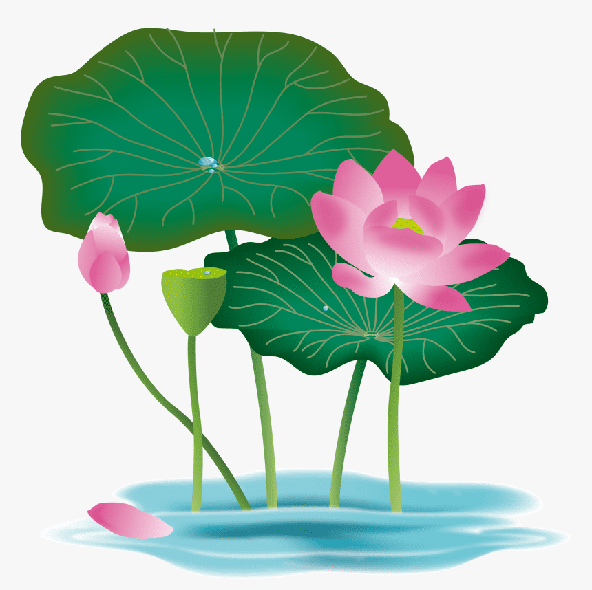 Lotus Flower clipart 2