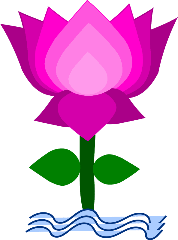 Lotus Flower clipart 5