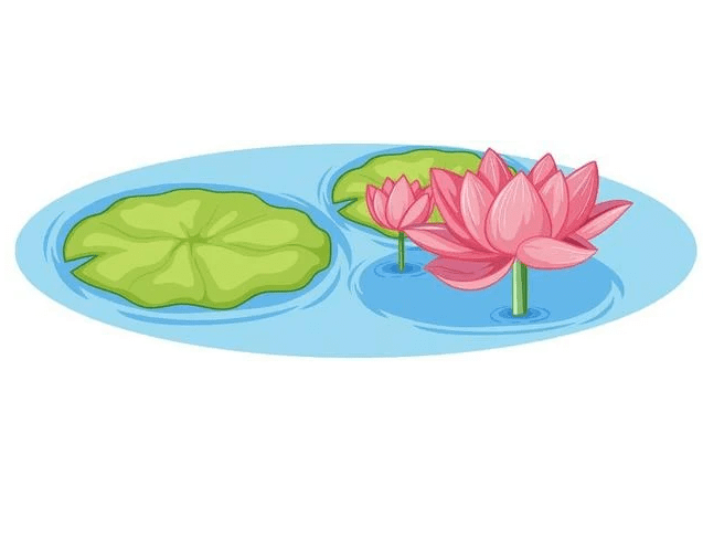 Lotus Flower clipart 6
