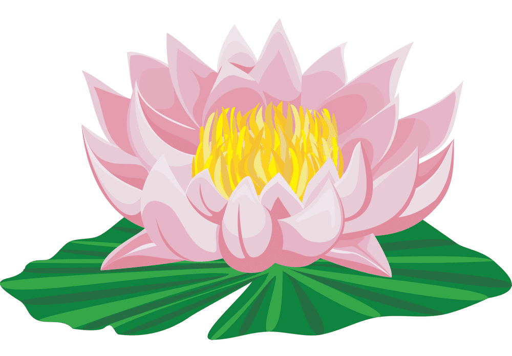 Lotus Flower clipart for free
