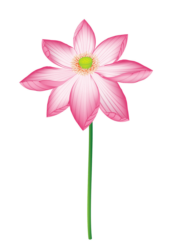 Lotus Flower clipart free image