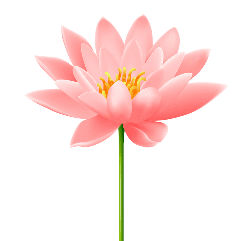 Lotus Flower clipart free