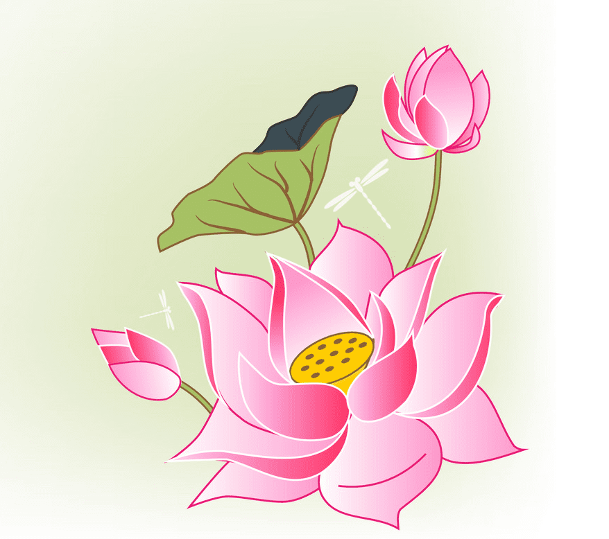 Lotus Flower clipart png image