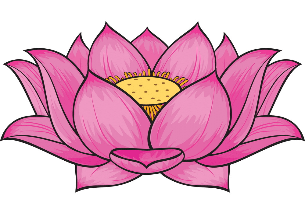 Lotus Clipart