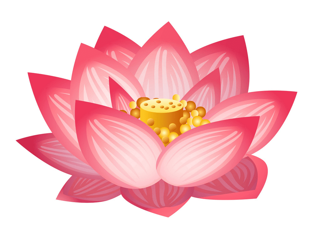 Lotus clipart free image