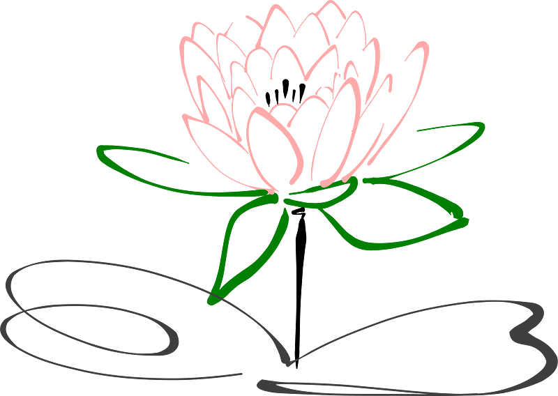Lotus clipart transparent 9