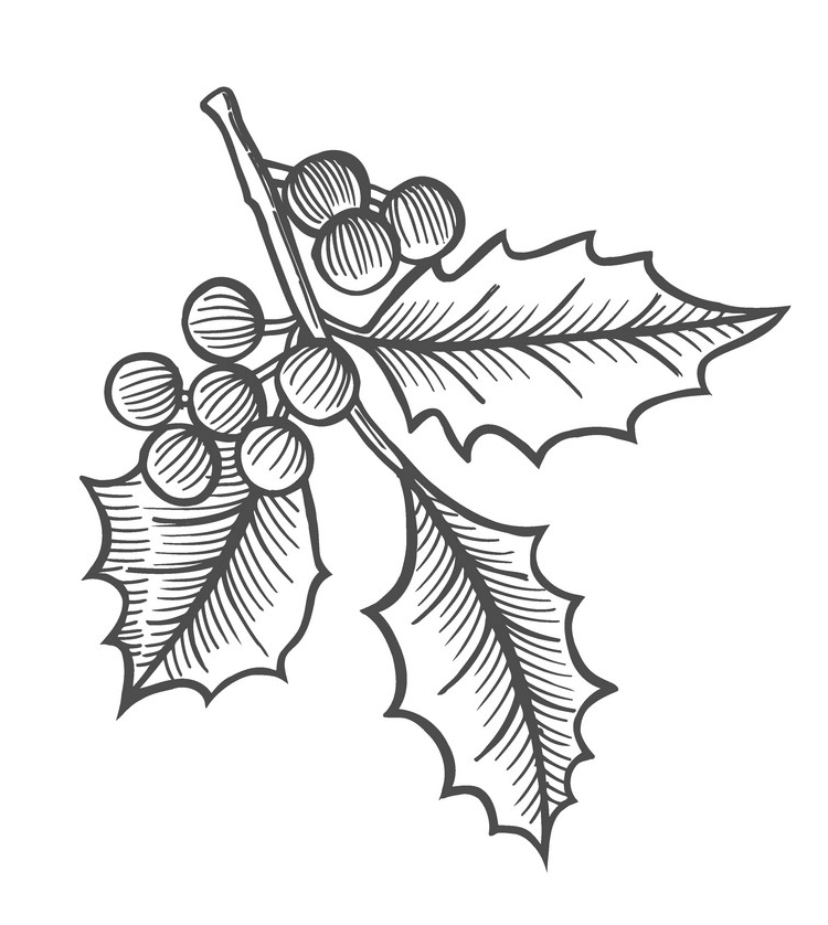 Mistletoe Clipart Black and White images