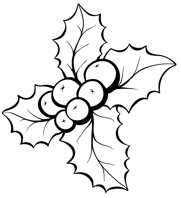 Mistletoe Clipart Black and White png image