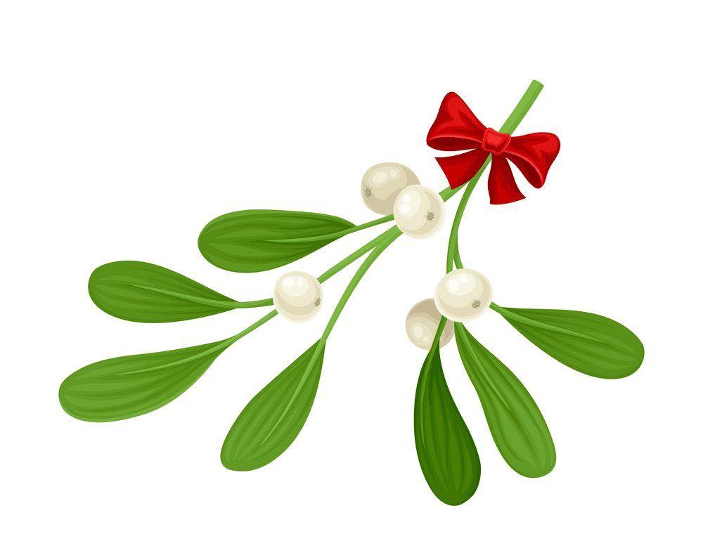 Mistletoe clipart 9