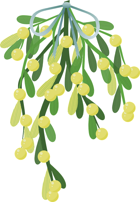 Mistletoe clipart transparent 8