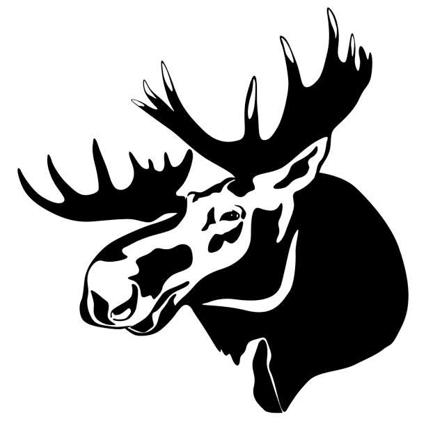 Moose Head clipart free images
