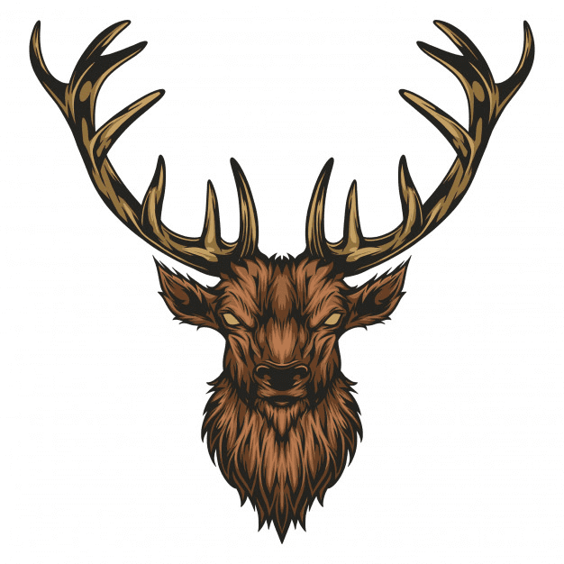 Moose Head clipart png free