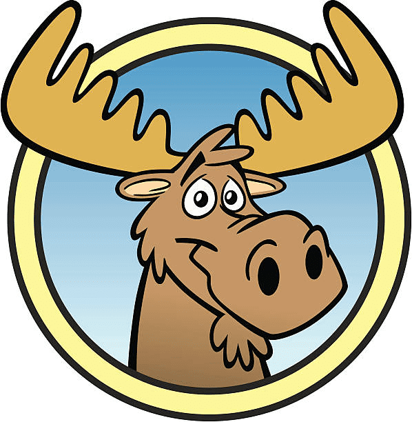 Moose Head clipart png images