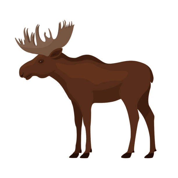 Moose clipart free 1