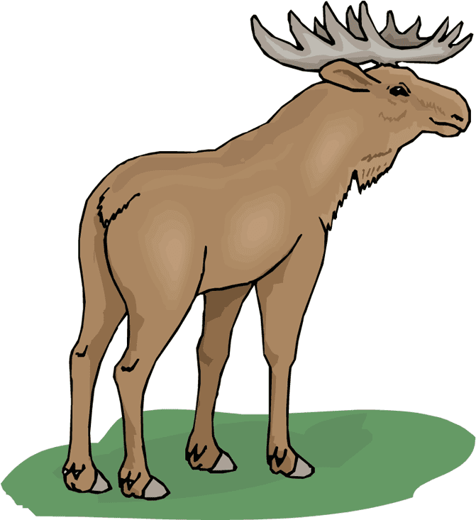 Moose clipart free 2