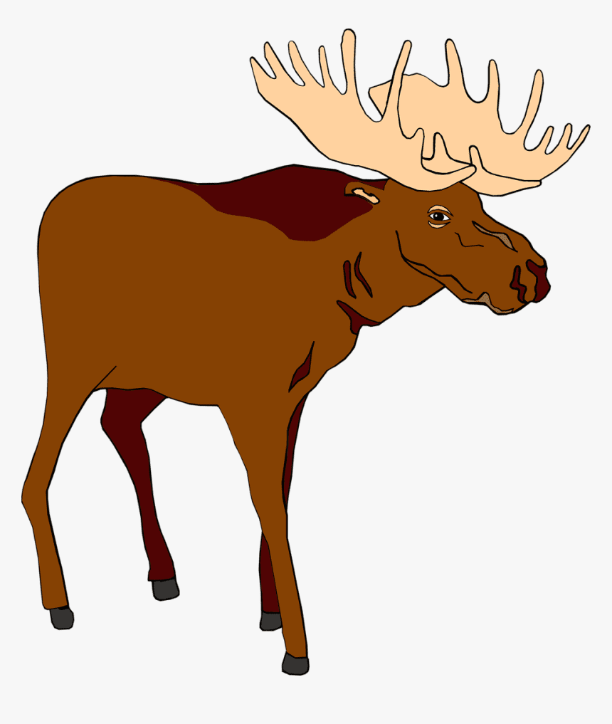 Moose clipart free 5