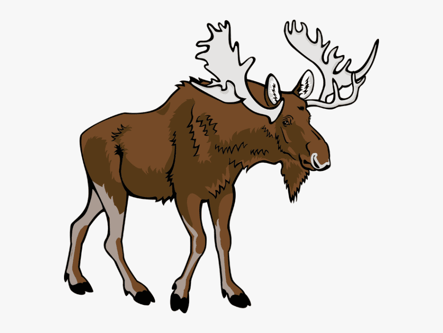 Moose clipart free 6