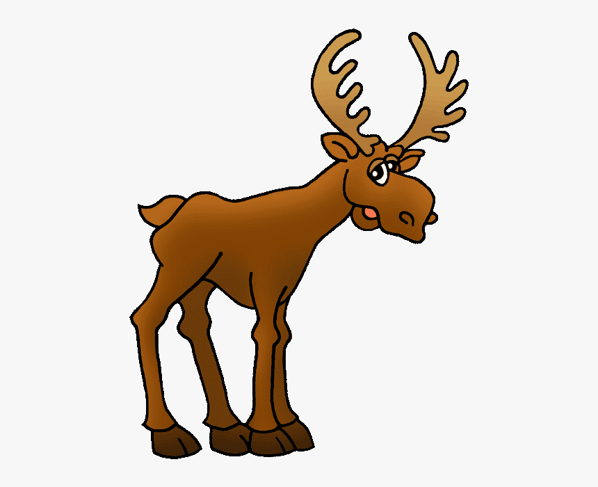 Moose clipart free images