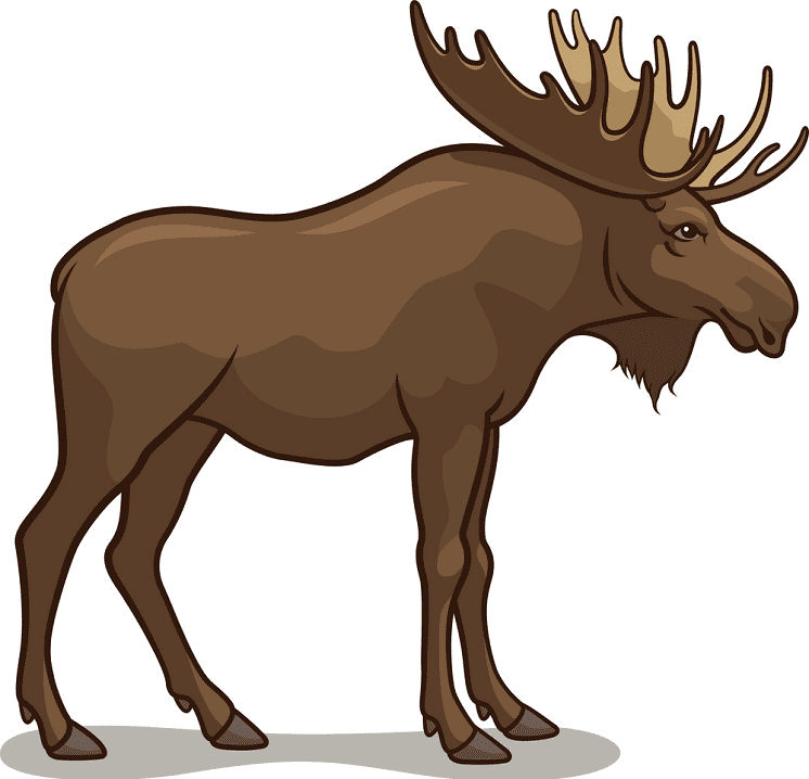 Moose clipart free