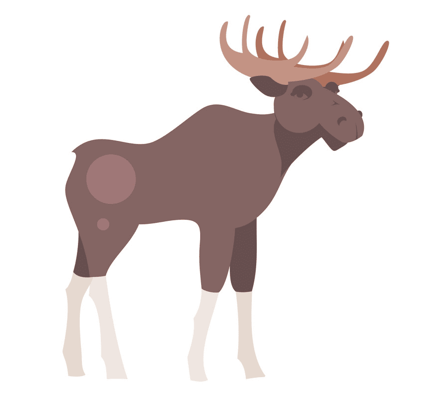 Moose clipart image