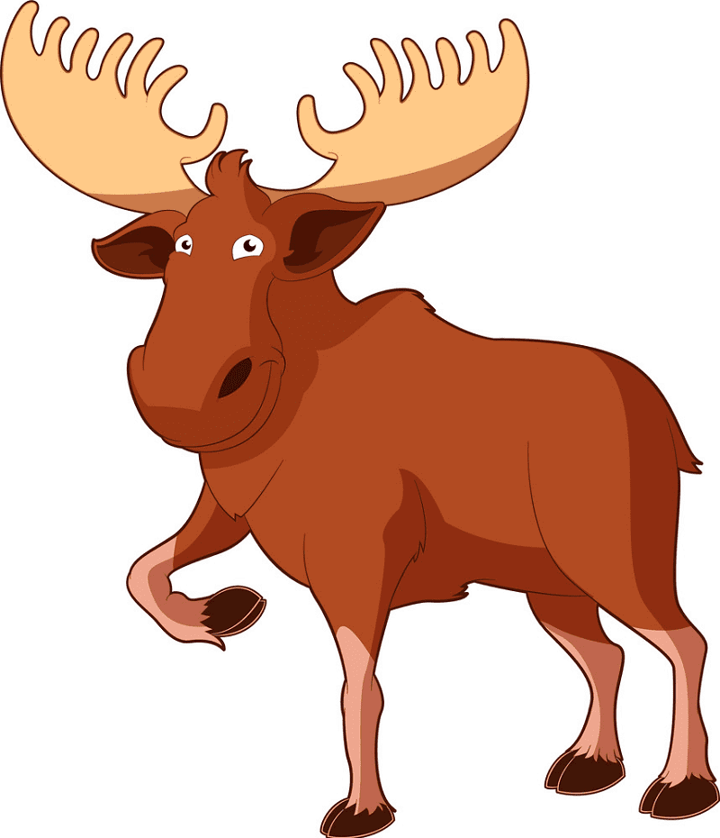 Moose clipart images