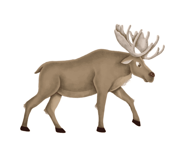 Moose clipart picture