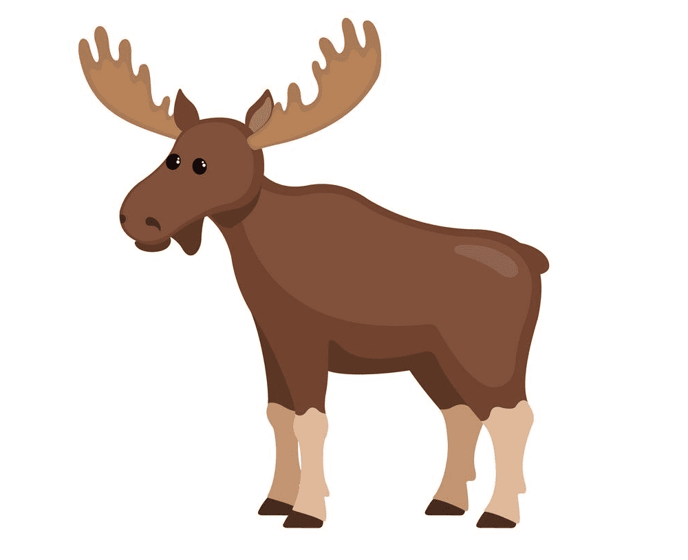 Moose clipart png images