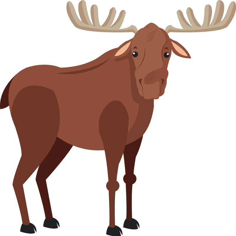 Moose clipart png