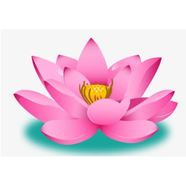 Pink Lotus clipart 6