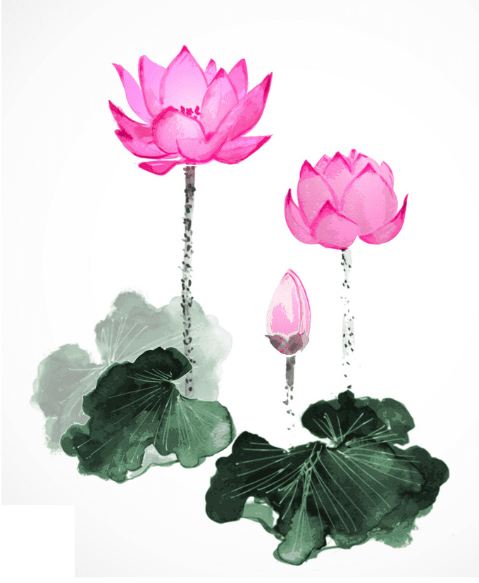 Pink Lotus clipart png free