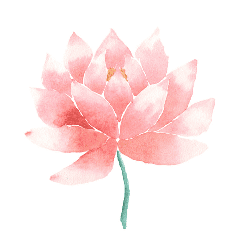 Pink Lotus clipart png image