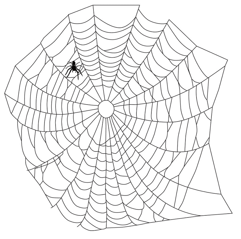 Spider Web clipart 10