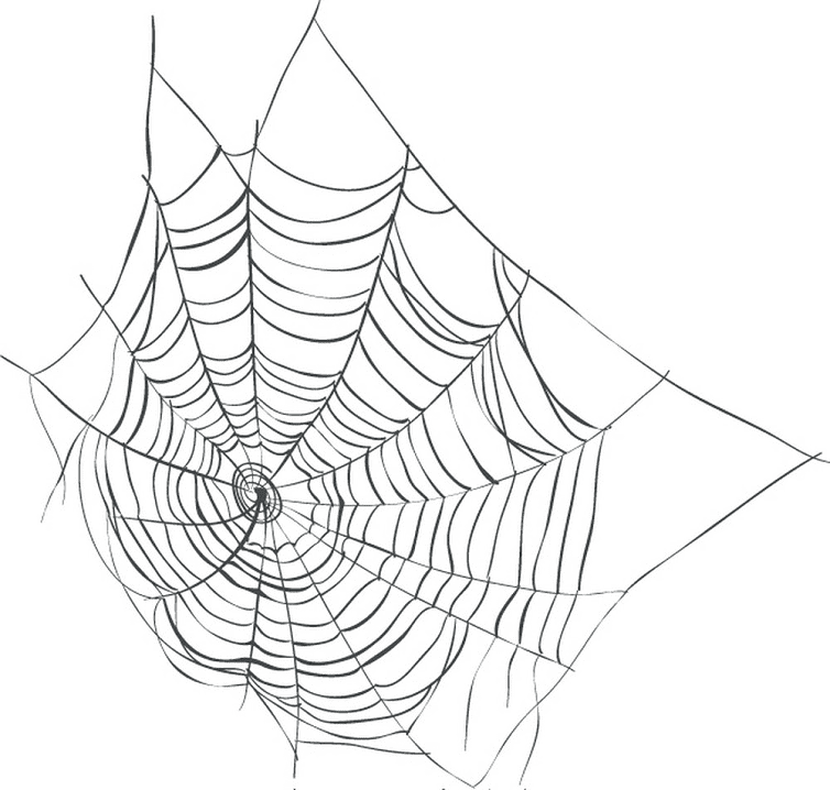 Spider Web clipart 3
