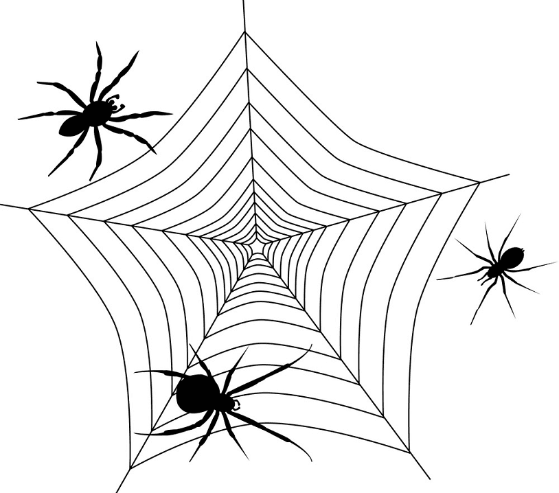 Spider Web clipart 5