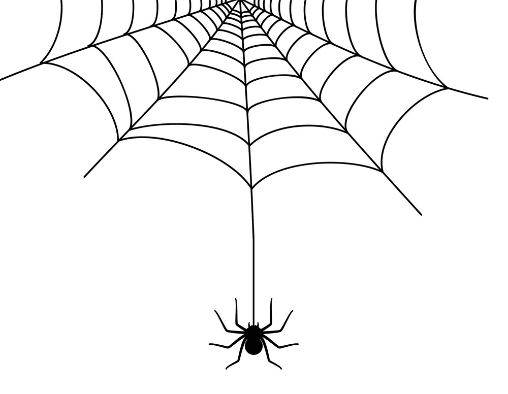 Spider Web clipart 8