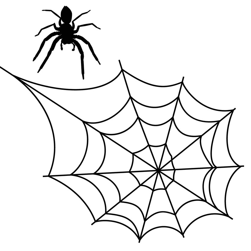 Spider Web clipart download