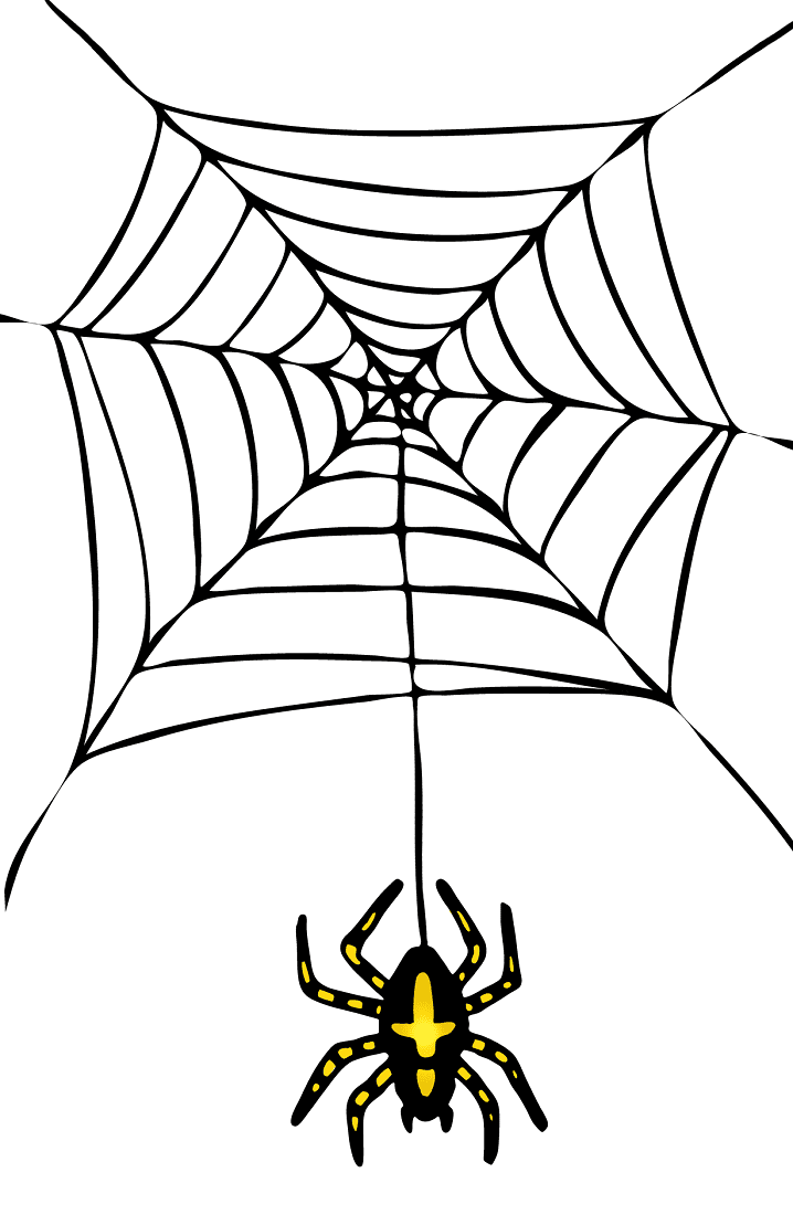Spider Web clipart free 3
