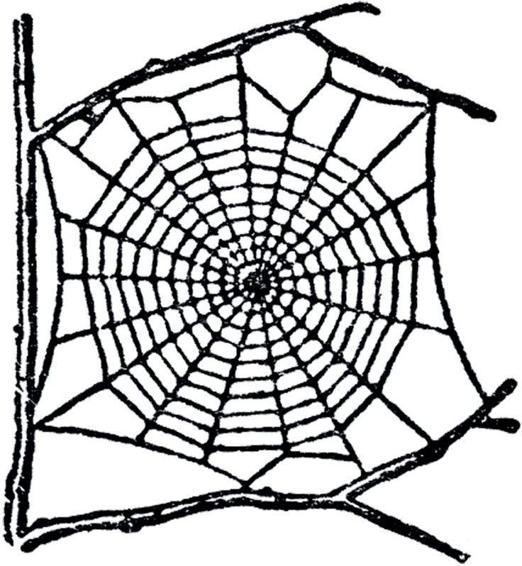 Spider Web clipart free 4