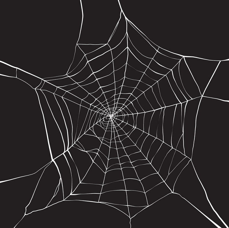 Spider Web clipart free download