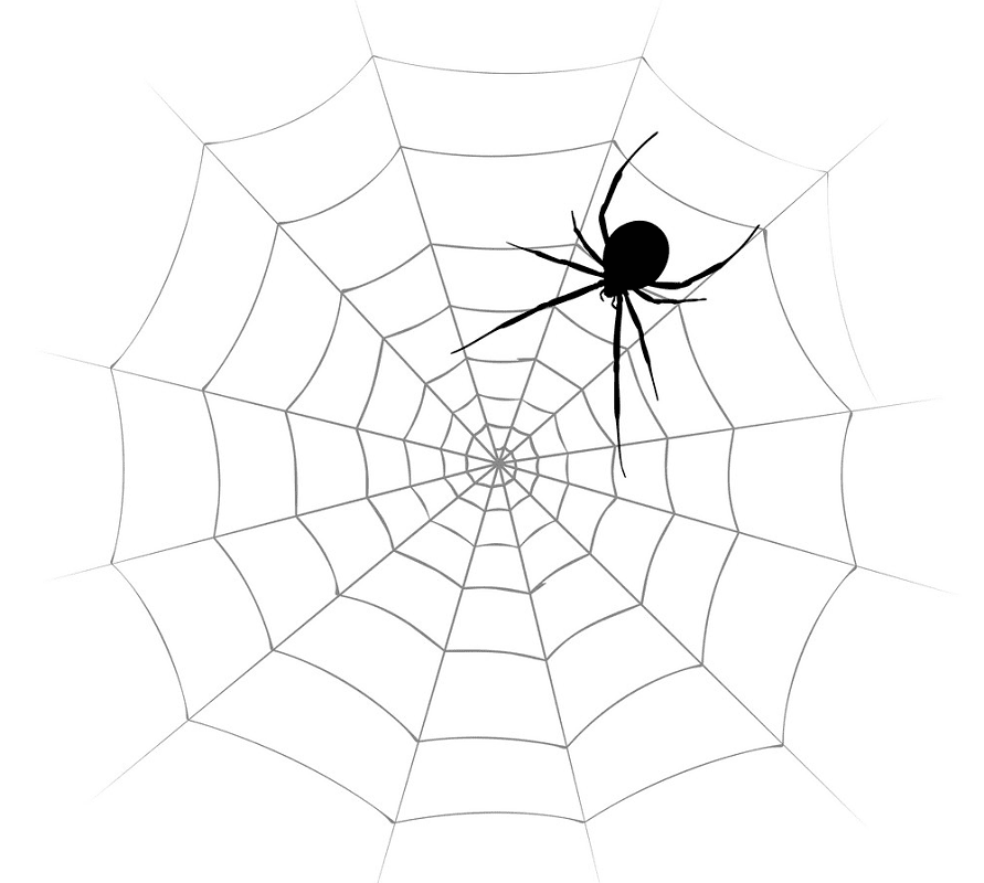 Spider Web clipart free image