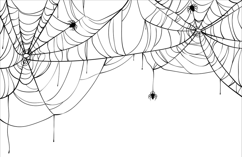 Spider Web clipart png 10
