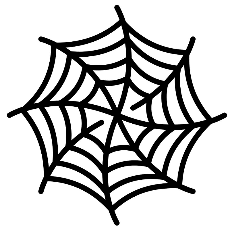 Spider Web clipart png 2